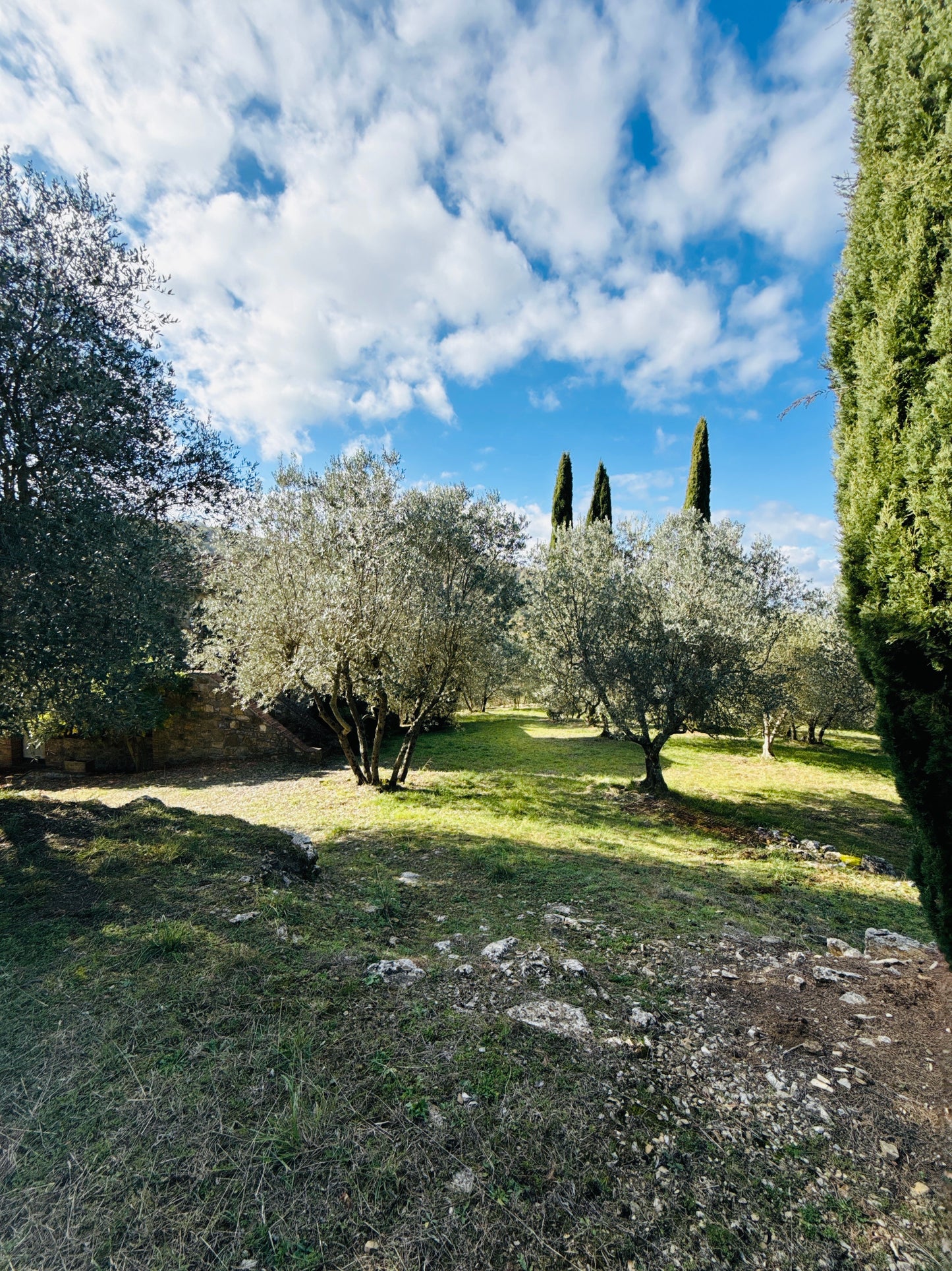 Renovated farmhouse in Pieve a Presciano with pool and view