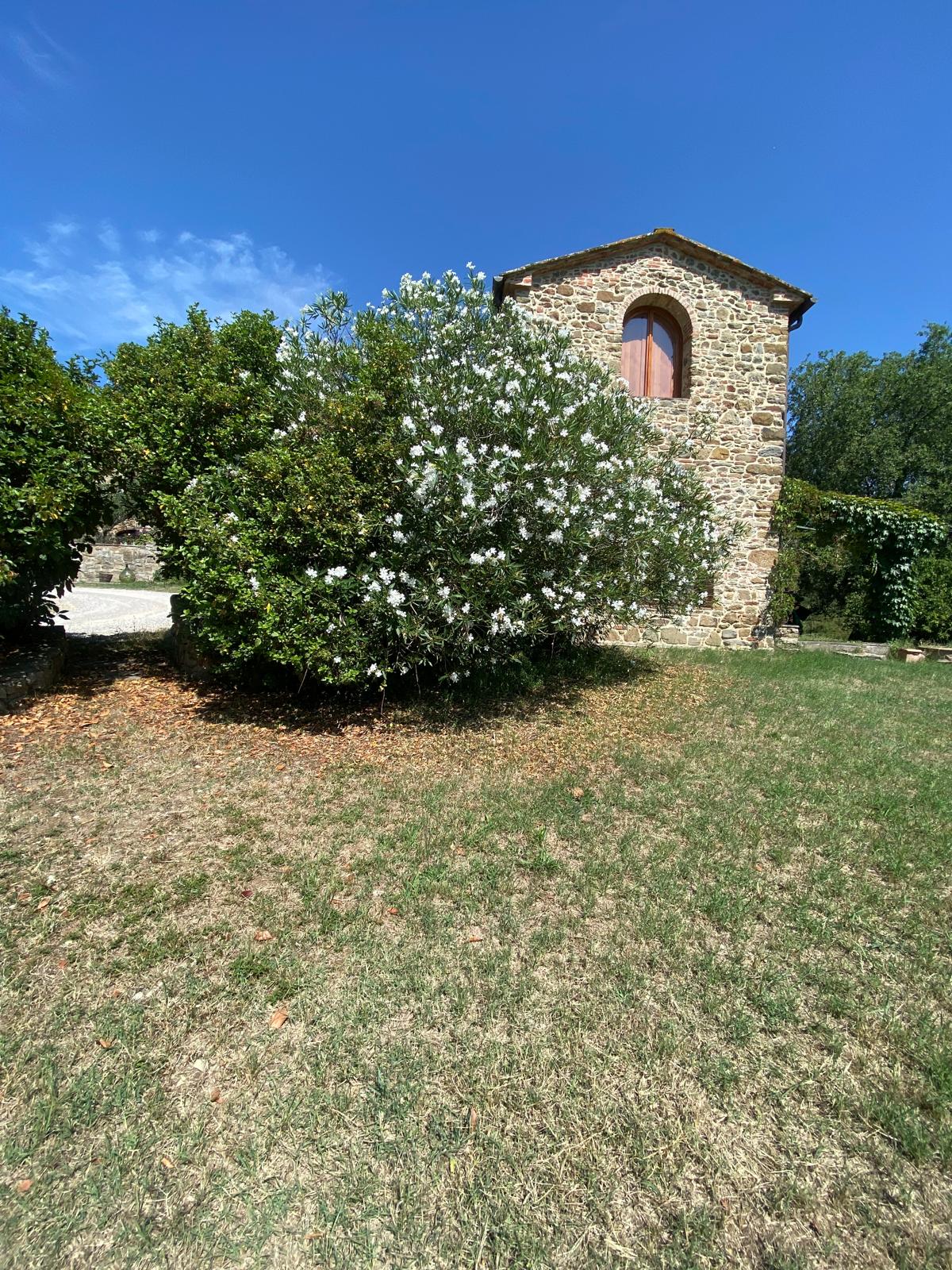 Charming Renovated Stone Barn with Pool